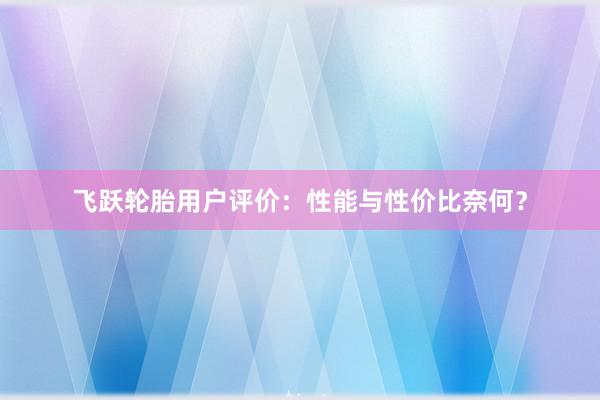 飞跃轮胎用户评价：性能与性价比奈何？